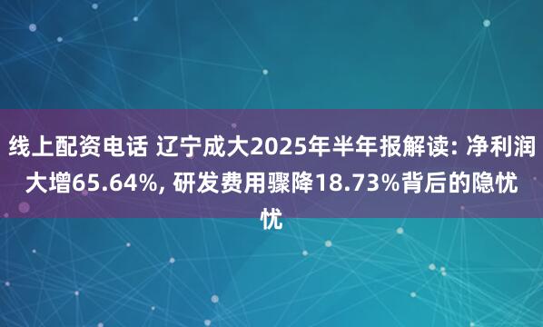 线上配资电话 辽宁成大2025年半年报解读: 净利润大增65.64%, 研发费用骤降18.73%背后的隐忧