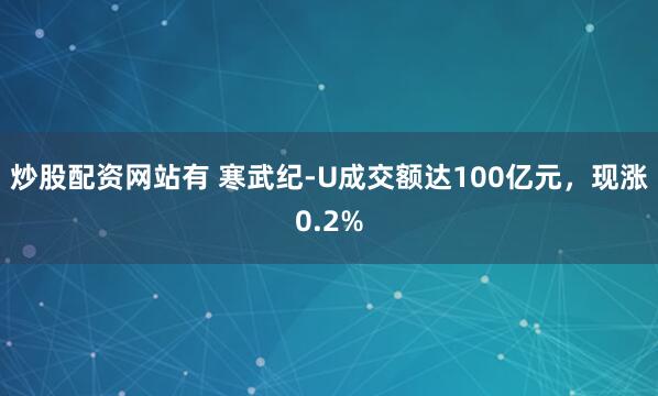 炒股配资网站有 寒武纪-U成交额达100亿元，现涨0.2%